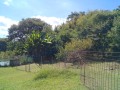 IMG_20250727_093438