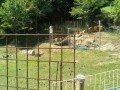 IMG_20250727_093444