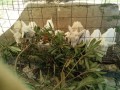 IMG_20250728_111547