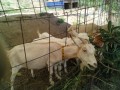 IMG_20250728_111558