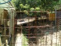 IMG_20250728_111601