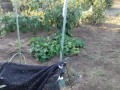 IMG_20250728_180857
