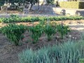 IMG_20250728_180859
