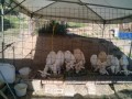 IMG_20250729_075127