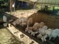 IMG_20250729_075136