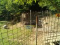 IMG_20250729_075201