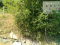 IMG_20250730_104948