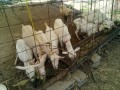 IMG_20250730_105926