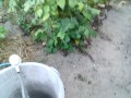 IMG_20250730_175025