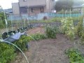 IMG_20250730_191116