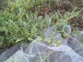 IMG_20250730_191134