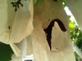IMG_20250731_115221
