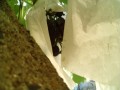 IMG_20250731_115331
