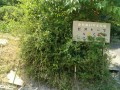 IMG_20250731_120227