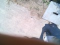 IMG_20250731_120231