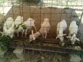 IMG_20250731_120501