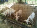 IMG_20250731_120511