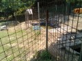 IMG_20250731_120538