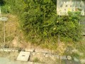 IMG_20250801_073445