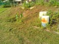 IMG_20250801_073522
