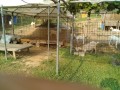 IMG_20250801_073557