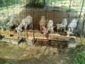 IMG_20250801_073914