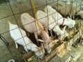 IMG_20250801_073928