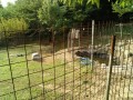 IMG_20250801_074007