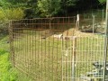 IMG_20250801_074028