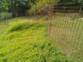 IMG_20250801_074030