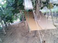 IMG_20250801_182640