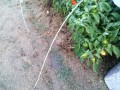 IMG_20250801_183948