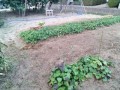 IMG_20250801_183951