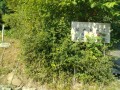 IMG_20250802_083007