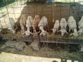 IMG_20250802_083130