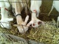 IMG_20250802_083146