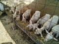 IMG_20250802_083152