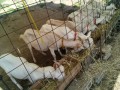 IMG_20250802_083205