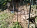 IMG_20250802_083228