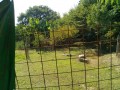 IMG_20250802_083231