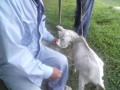 IMG_20250802_171528