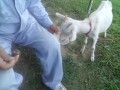 IMG_20250802_171618