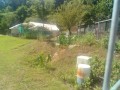 IMG_20250803_102848