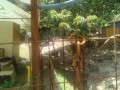 IMG_20250803_103135