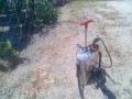 IMG_20250803_114412