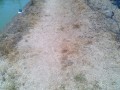 IMG_20250803_114416