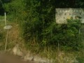 IMG_20250804_074303