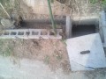 IMG_20250804_074307