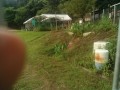 IMG_20250804_074339