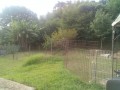 IMG_20250804_074757